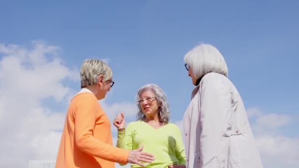 Érett Nők Csoportja Együtt Ünnepli Sikert Nyugdíjasok Felemelik Megfogják Egymás — Stock videók