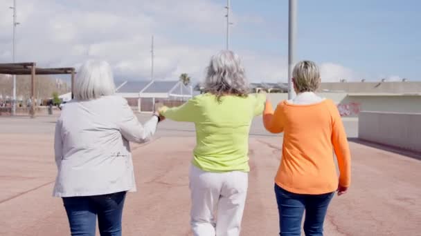 Rear View Senior Women Holding Hands Raising Arms Together Mature — Stock Video