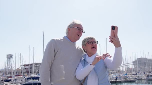 Üst Düzey Bir Turist Dışarıda Video Görüşmesi Yapıyor Limanda Telefonla — Stok video
