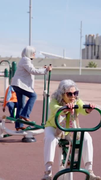 Mature Women Doing Exercise Outdoors Senior People Using Public Machines — Stock Video