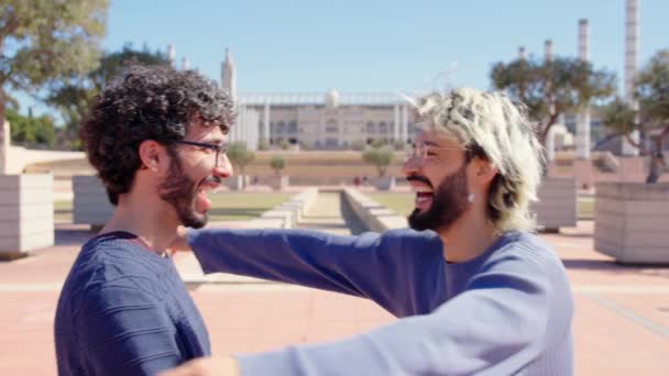 Primo Piano Coppia Gay Incontro Abbracciare Altro Parco — Video Stock