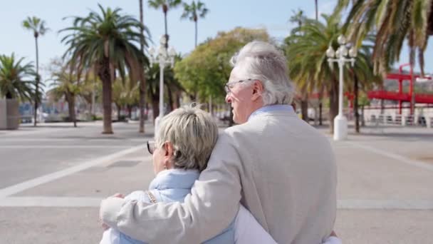 Rear Tracking Video Romantic Mature Couple Walking Outdoors Promenade — Stock Video