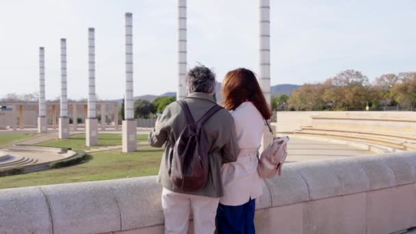 Rear View Senior Tourist Couple Watching Monument — Stock Video