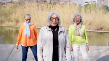 Üç olgun kadın parkta Tai Chi çalışıyor. Küçük bir grup üst düzey insan dışarıda egzersiz yapıyor..