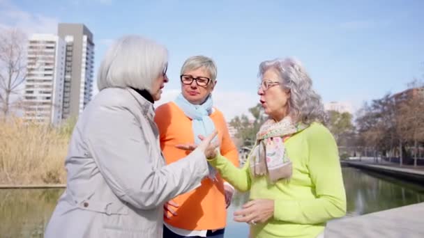 Yetişkin Kadın Parkta Birlikte Konuşuyor — Stok video