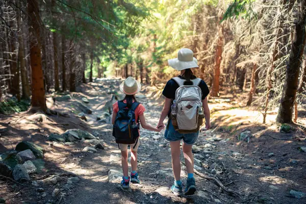 Ormanda Yürüyüş Yapan Kız Kardeşlerin Arka Görüntüsü Aile Kavramı Ile Stok Fotoğraf