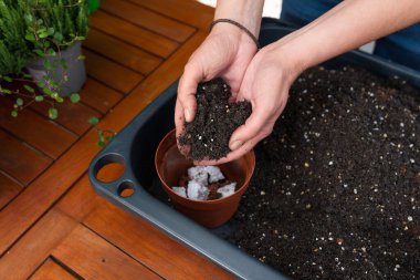 Küçük bir saksıyı bahçeye dikmek için toprakla dolduran ellerin yakınlaşması, hazırlık, sürdürülebilirlik ve çevre dostu yaşam tarzını gösteren bahçe faaliyetleri.
