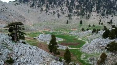 Taurus dağlarındaki dağ sıraları. Gün batımında dağların yamaçlarında Lübnan sedir ağaçları. Türkiye 'deki Lycian patikasının panoramaları.