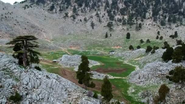 Horské Pohoří Pohoří Taurus Libanonské Cedry Svazích Hor Při Západu — Stock video