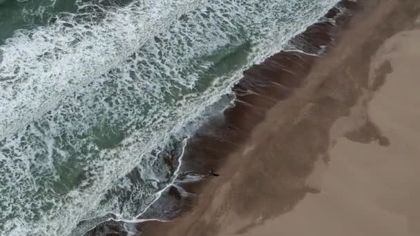 Воздушный Дрон Сверху Вниз Вид Женщины Идущей Одиночку Пляжу Патара — стоковое видео