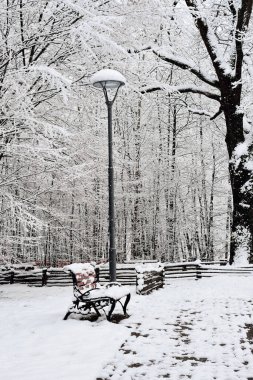 Şehir parkında karla kaplı ağaçlar ve banklar. Bucha Şehir Parkı, Ukrayna. Parkta kış karlı bir gün.