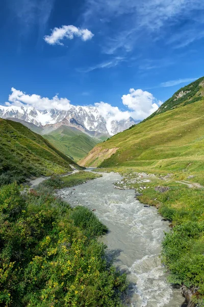 Blick Auf Den Shara Gletscher Gebirgstal Gletscherzunge Gletschermoräne Kaukasusgebirge Uschguli Stockbild