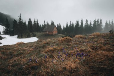 Early spring in the Ukrainian Carpathians. Old house in the mountains.