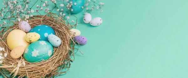 Easter Banner Green Background Bird Nest Easter Eggs Happy Easter Royalty Free Stock Images