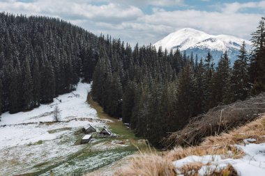 Karpatlar 'ın bahar panoraması. Yamaçlara taze kar yağdı. Kukul Sırtı.