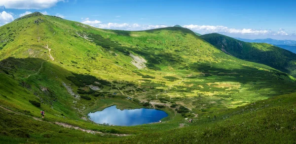 Озеро Несамовите Україні Квіти Рододендрона Карпатах Гірське Озеро — стокове фото