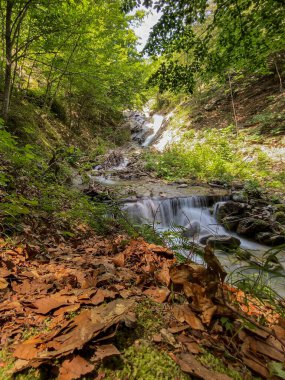 Ormandaki kayaların üzerinden akan uzun ve pürüzsüz su