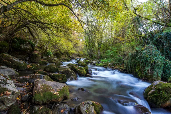 Lange Belichtung Glatt Fließendes Wasser Über Felsen Wald — Stockfoto