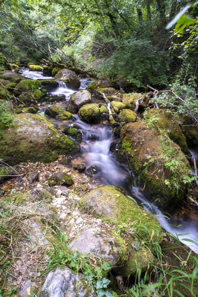 Larga Exposición Suave Agua Que Fluye Sobre Rocas Bosque — Foto de Stock