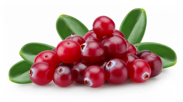 Cranberries Com Folhas Isoladas Fundo Branco — Fotografia de Stock