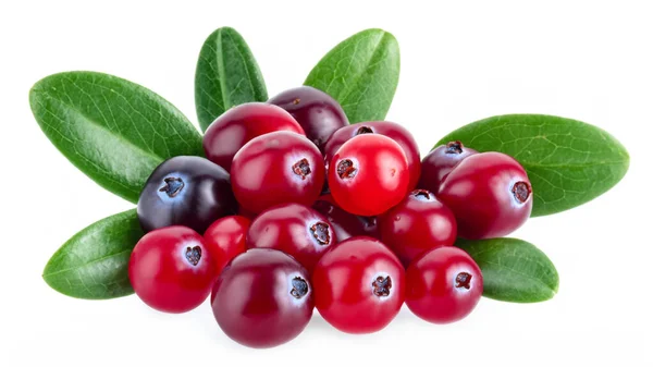 Cranberry Dengan Daun Terisolasi Pada Latar Belakang Putih — Stok Foto