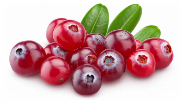 Cranberries Met Bladeren Geïsoleerd Witte Achtergrond — Stockfoto