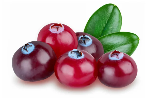 Cranberry Dengan Daun Terisolasi Pada Latar Belakang Putih — Stok Foto