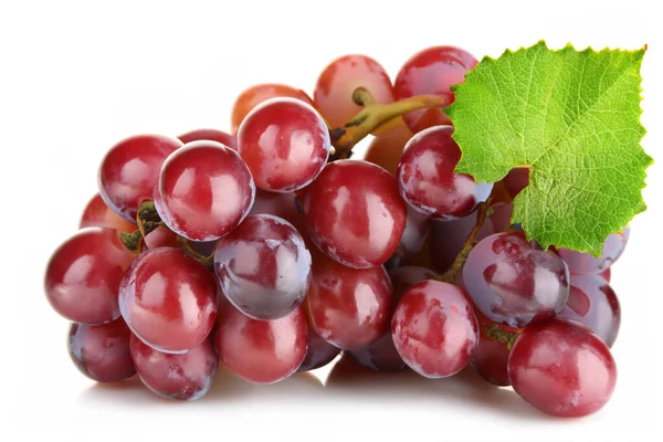 Dojrzałych Winogron Liść Białym Tle — Zdjęcie stockowe