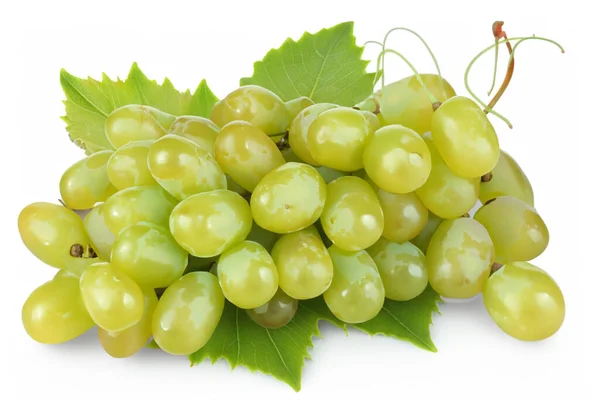 Стиглі Зелений Виноград Листям Ізольовані Білому Тлі — стокове фото