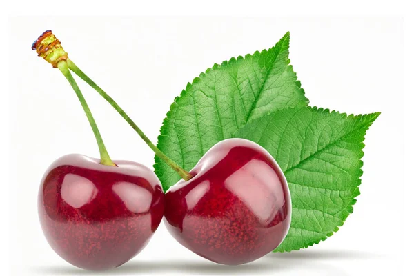 Cherry Segar Dengan Daun Terisolasi Pada Latar Belakang Putih — Stok Foto
