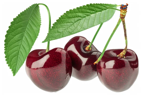 Cherry Segar Dengan Daun Terisolasi Pada Latar Belakang Putih — Stok Foto