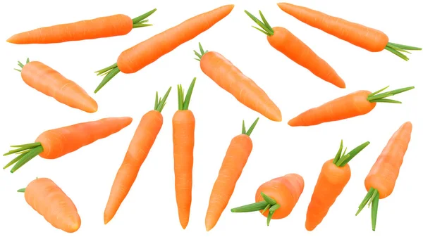 Морква Під Різними Кутами Ізольована Білому Тлі Високоякісні Деталі — стокове фото