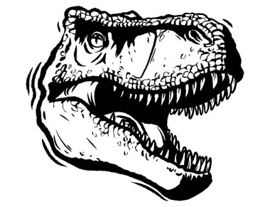 Tarih öncesi dinozor kafası çizimi. İzole edilmiş. Tehlikeli antik yırtıcı, tyrannosaurus fosil tasarım elementi.