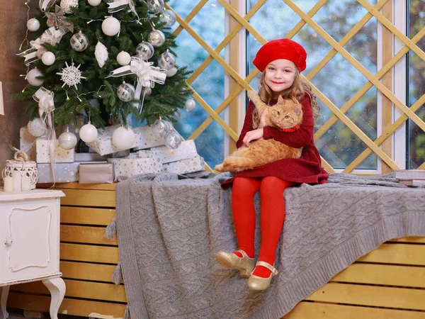 Blond Liten Flicka Rött Beundrar Sin Katt Vid Julen Prydd — Stockfoto