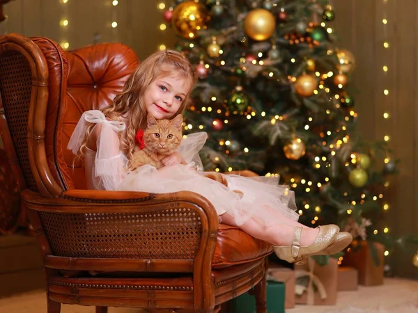금발의 드레스에 그녀의 고양이와 소파에 크리스마스 — 스톡 사진