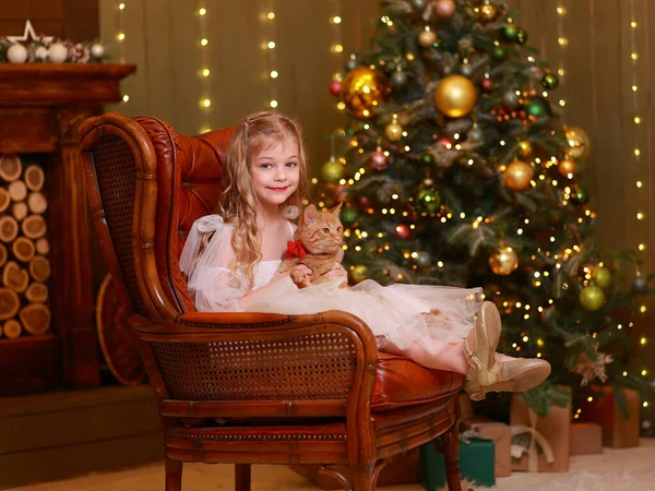 금발의 드레스에 그녀의 고양이와 소파에 크리스마스 — 스톡 사진