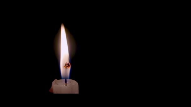 白色的烛光是用黑色隔开的 一支有灯芯的蜡烛的顶部在黑色背景上燃烧 — 图库视频影像