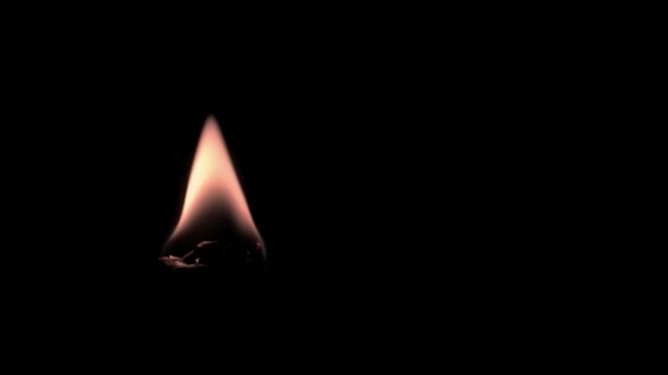 黒を背景にライトファイア 小さな火 オーバーレイ — ストック動画