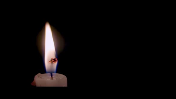 Közelkép Egy Égő Kanóccal Ellátott Gyertya Tetejéről Egy Fekete Alapon — Stock videók