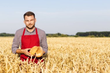 Buğday tarlasında dikilirken elinde ekmek tutan önlüklü bir adam..