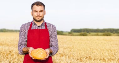 Buğday tarlasında dikilirken elinde ekmek tutan kırmızı önlüklü bir adam.