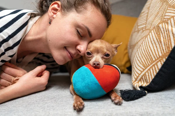 Pets love and tenderness woman pet owner and her small dog Toy Terrier.