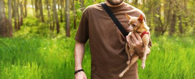 Evcil hayvan sahibi küçük köpeğini parkta elinde tutuyor..