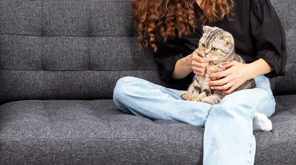 Kędzierzawa Kobieta Jej Czysty Szkocki Kot Siedzą Razem Kanapie Domu — Zdjęcie stockowe