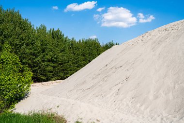 Ormanın yakınındaki kum tepesi..