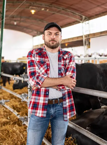 stock image Portrait of American rancher at beef farm.