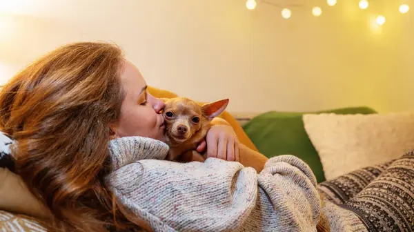 Woman pet owner lying down on sofa and hugging and kissing her small lap dog.