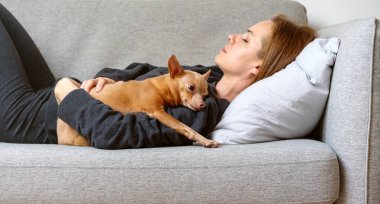 Küçük oyuncak teriyer köpeği evdeki kanepede uyuyan sahibinin yanına uzanıyor. Evcil hayvanlar, sahipler, birliktelik, gerçek hayat. Hayvan evlat edinme.