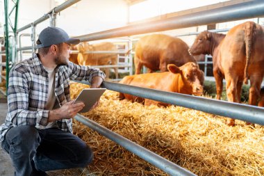 Çiftlik işçisi ekose gömlek ve kep giyen inek ahırının yanında oturan