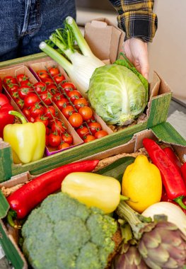 Healthy organic farm grown vegetables and fruits in a delivery cardboard high angle view.	